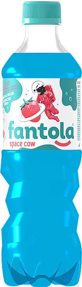 Напиток Черноголовка Fantola Space cow 500мл
