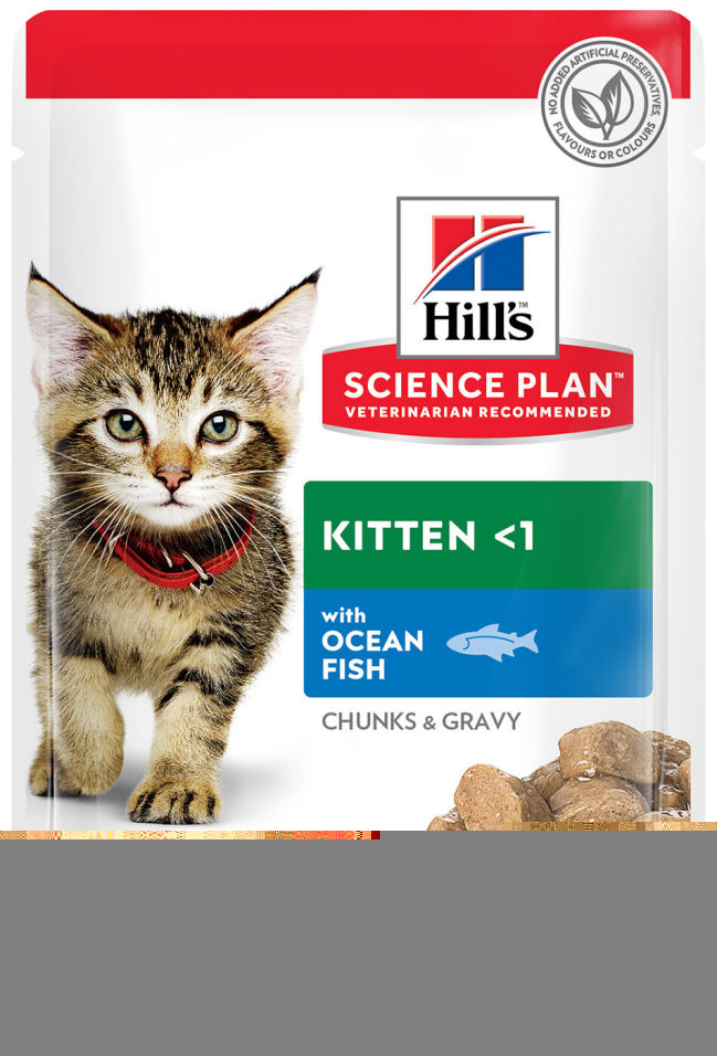 Отзывы о Влажном корме для котят Hills Science Plan Kitten с океанической рыбой 85г Отзывы о Влажном корме для котят Hills Science Plan Kitten с океанической рыбой 85г