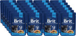 Влажный корм для котят Brit Premium Кусочки с курицей 100г 